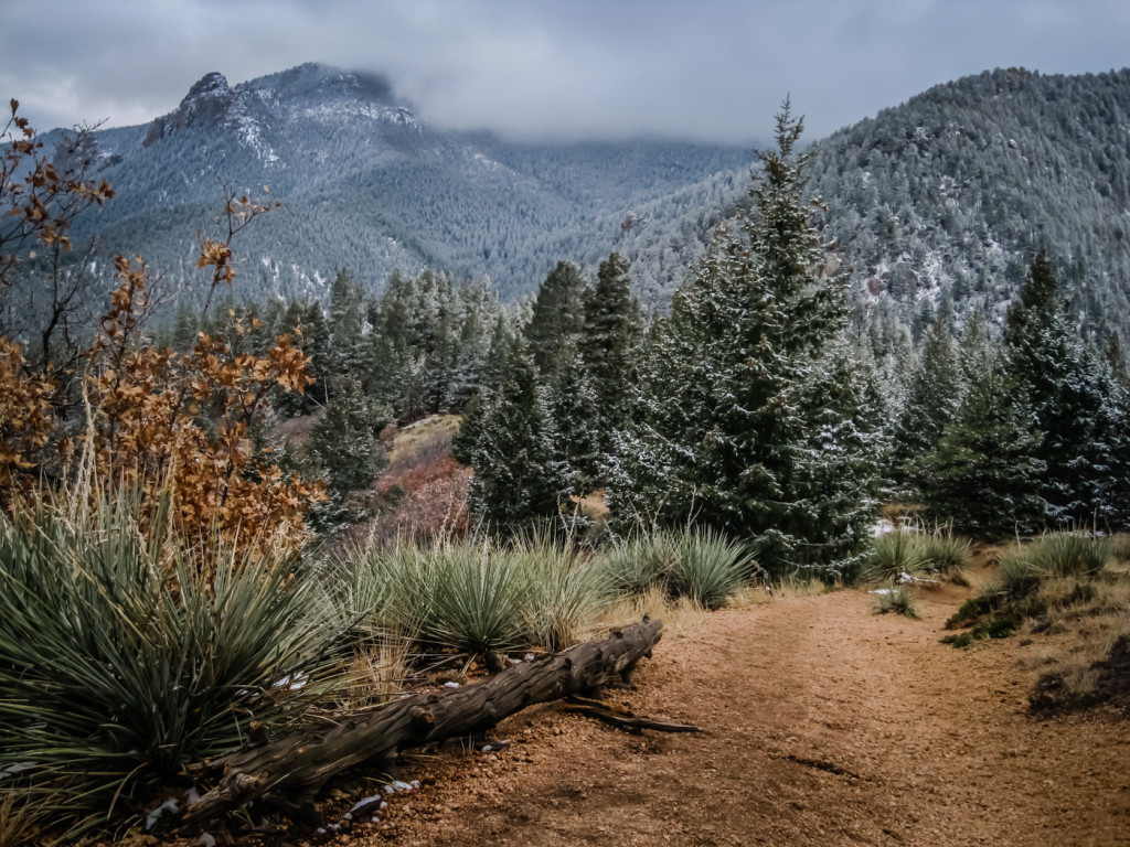 Section 16 Trail